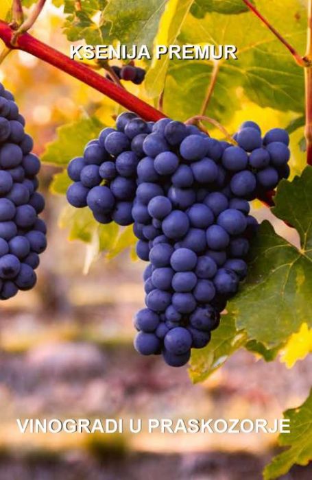 Ksenija Premur: Vinogradi u praskozorje