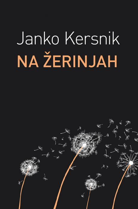 Janko Kersnik: Na Zerinjah