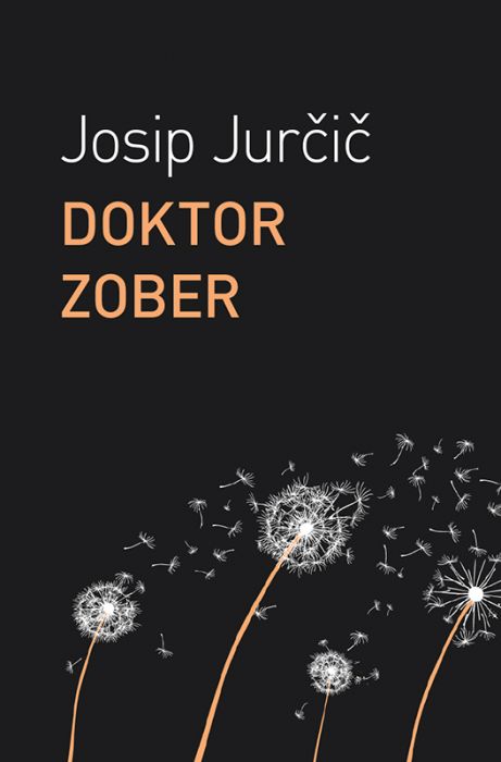 Josip Jurčič: Doktor Zober