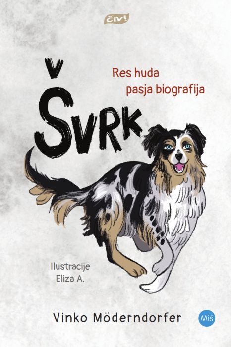 Vinko Möderndorfer: Švrk