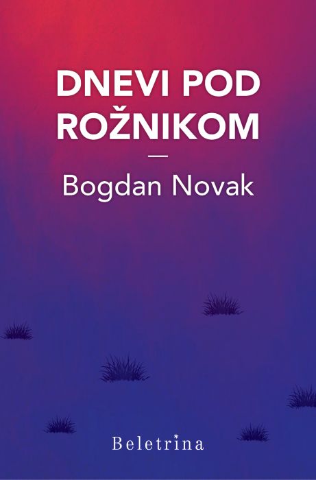 Bogdan Novak: Dnevi pod Rožnikom
