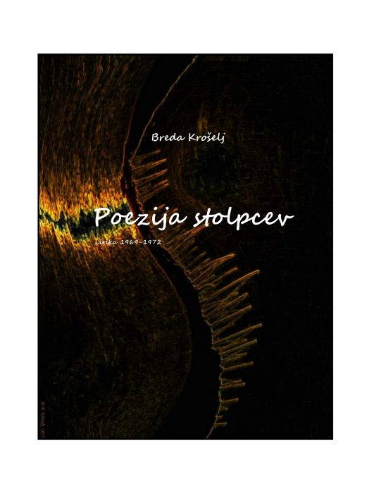 Breda Krošelj: Poezija stolpcev