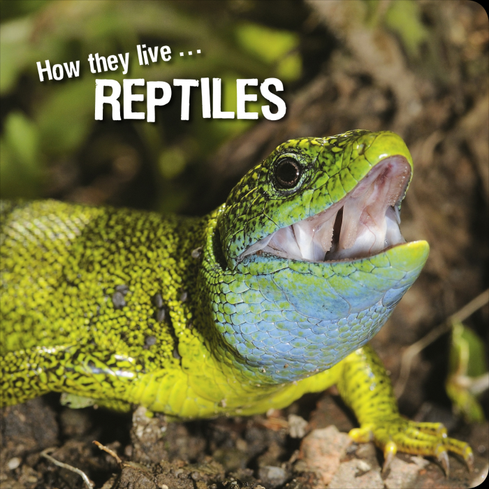 Ivan Esenko: Reptiles