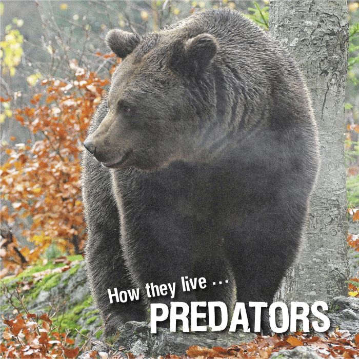Ivan Esenko: Predators