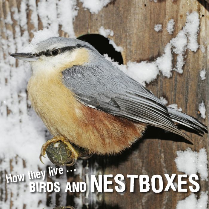 Ivan Esenko: Birds and nest boxes