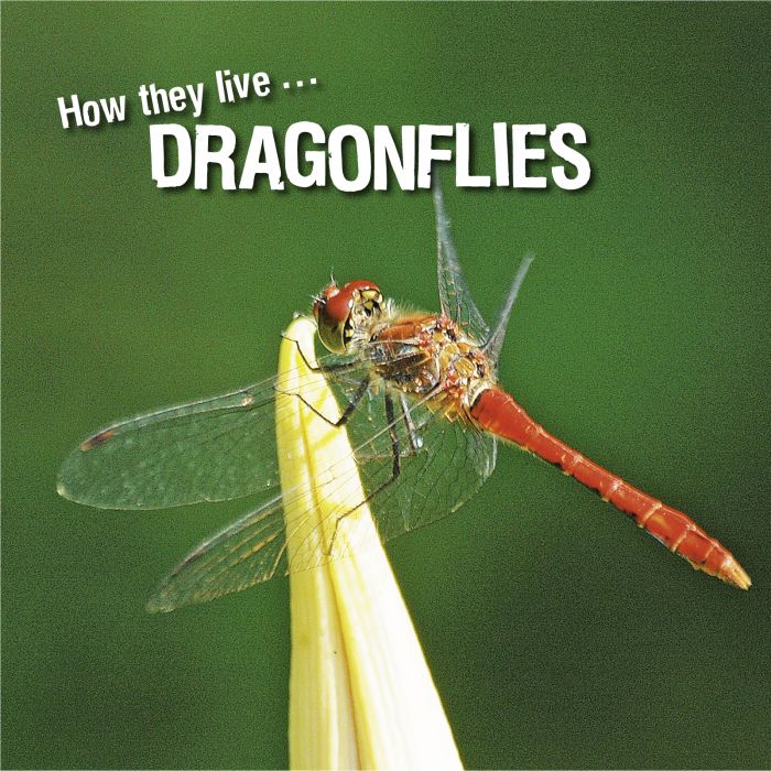 Ivan Esenko: Dragonflies