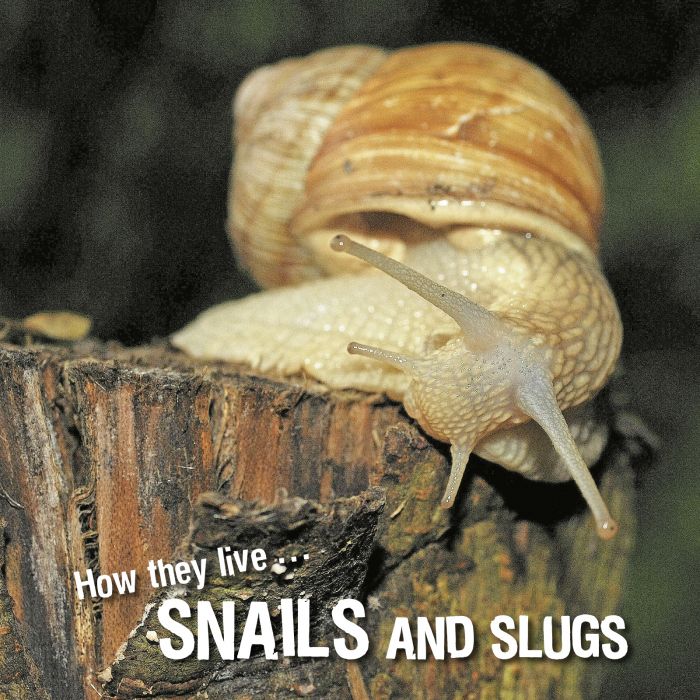 Ivan Esenko: Snails and slugs